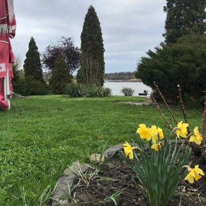 Природа Зелена садиба Ділієва